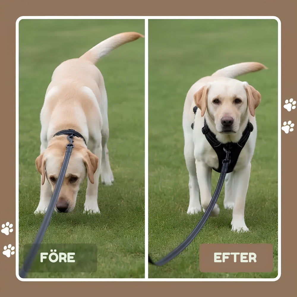Lusig™ Anti-Drag Hundsele