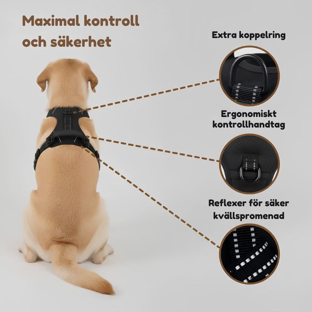 Lusig™ Anti-Drag Hundsele