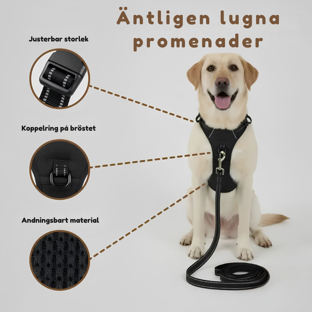 Lusig™ Anti-Drag Hundsele
