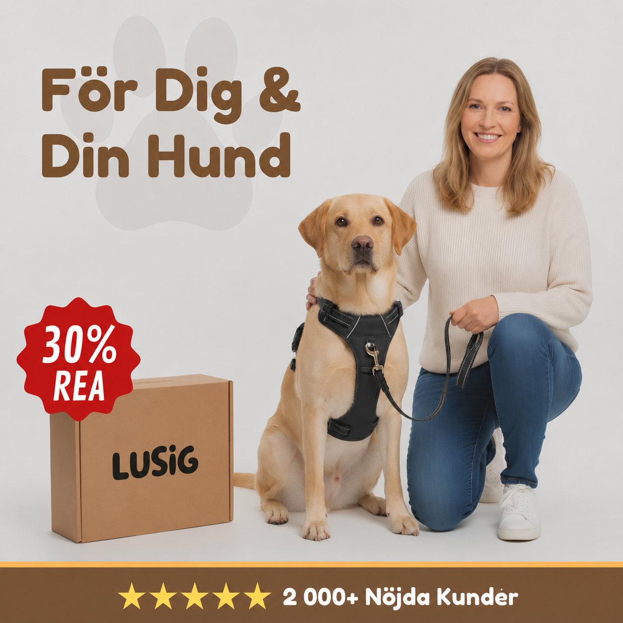 Lusig™ Anti-Drag Hundsele