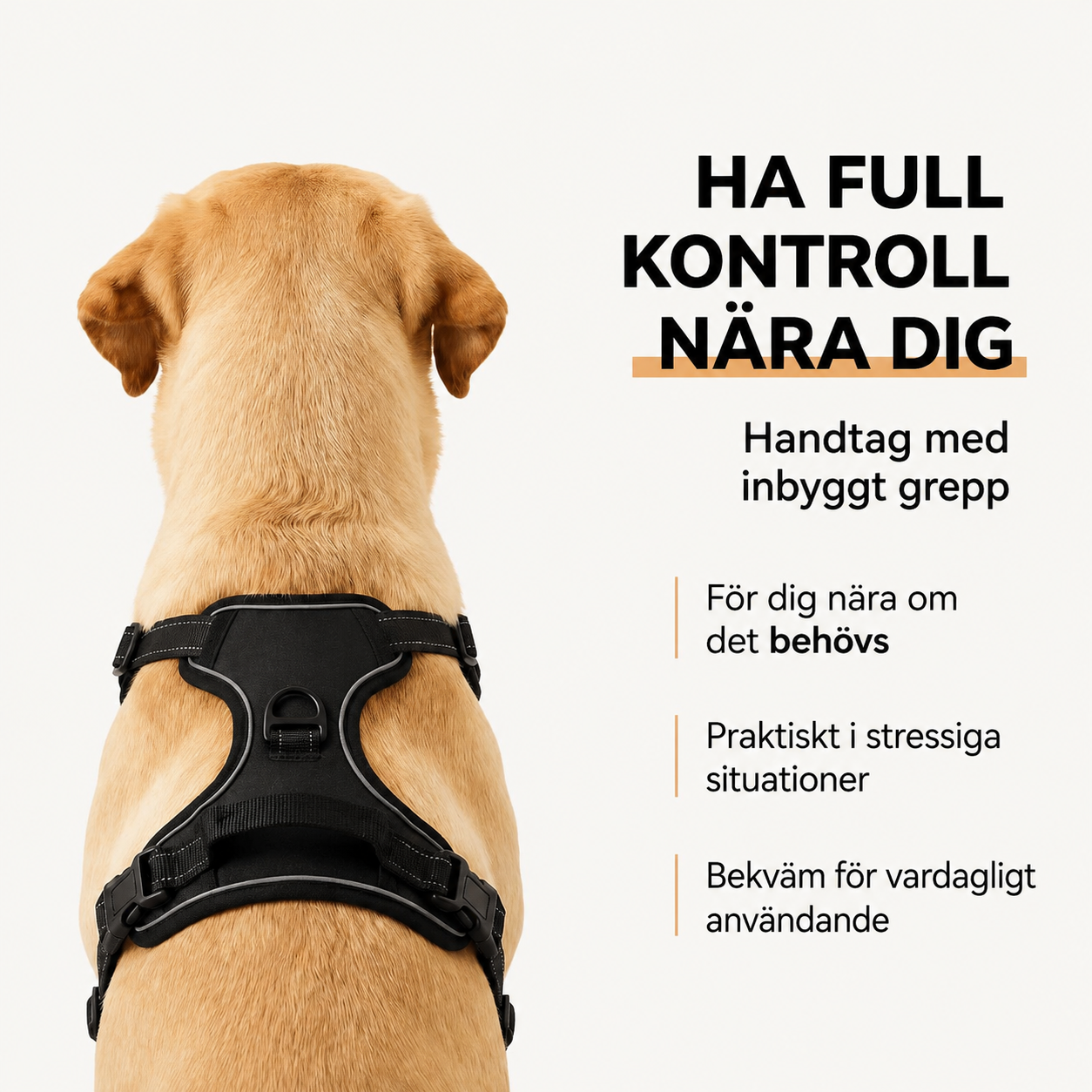 Lusig™ Anti-Drag Hundsele