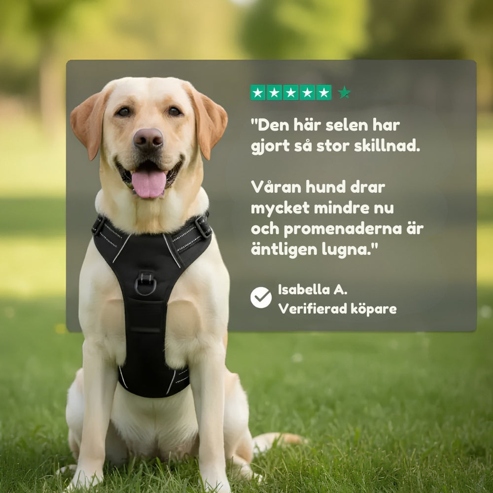 Lusig™ Anti-Drag Hundsele