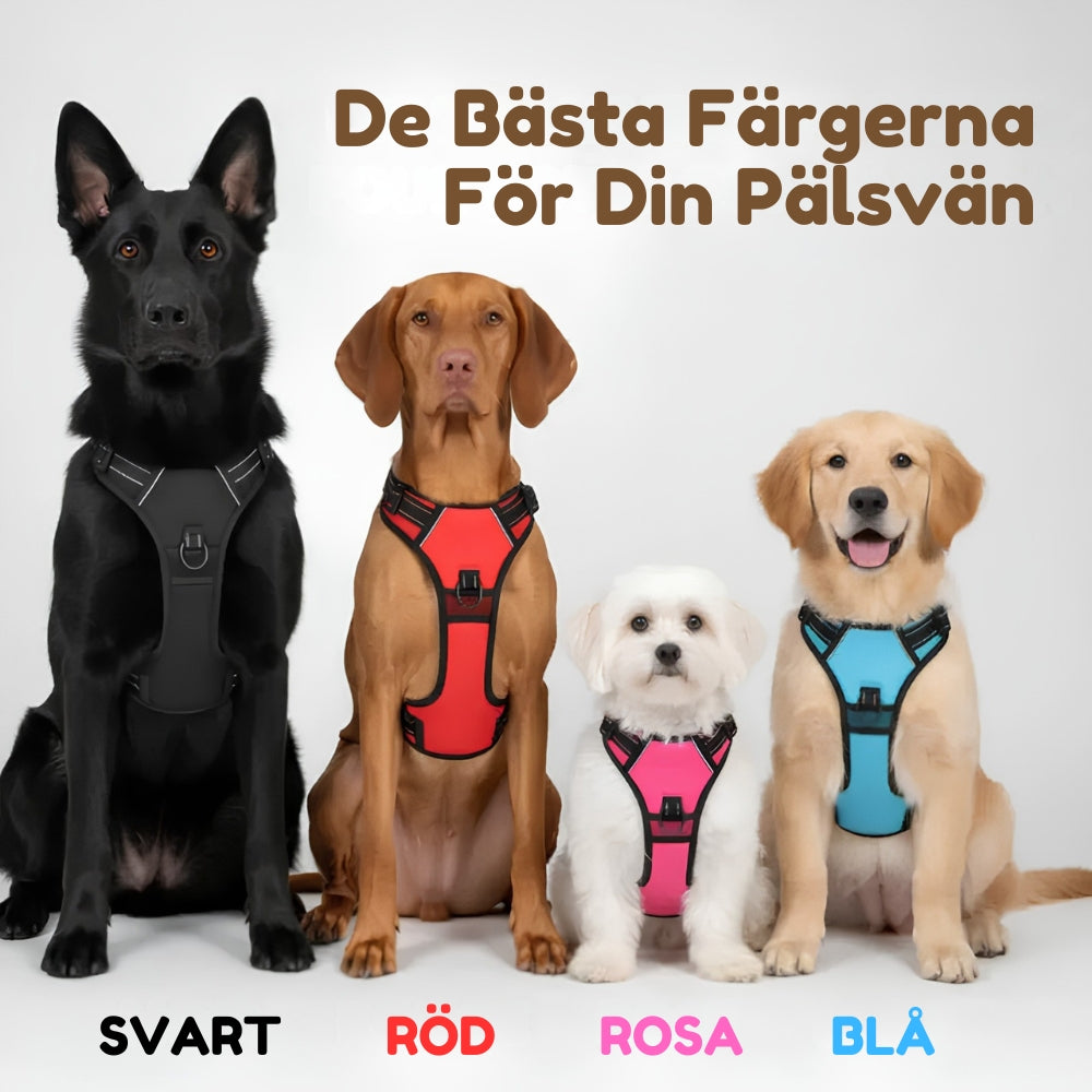 Lusig™ Anti-Drag Hundsele
