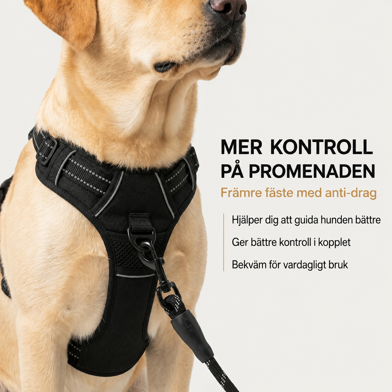 Lusig™ Anti-Drag Hundsele