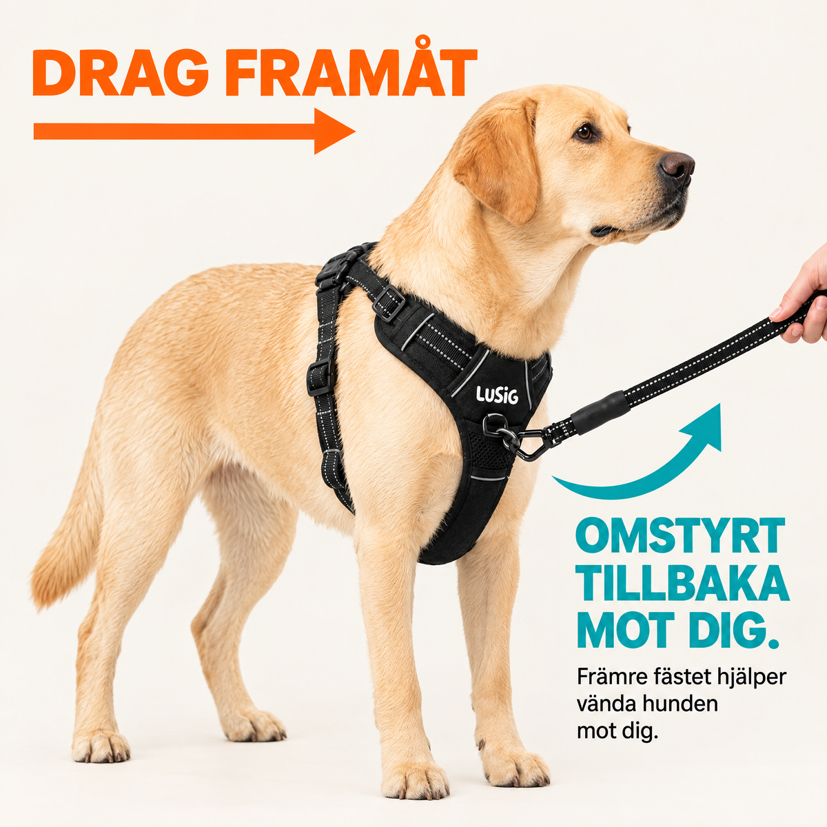 Lusig™ Anti-Drag Hundsele